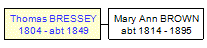 Mini tree diagram