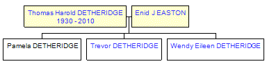 Mini tree diagram