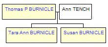 Mini tree diagram