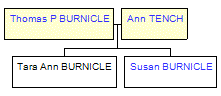 Mini tree diagram