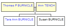 Mini tree diagram