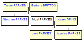 Mini tree diagram