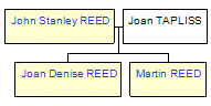 Mini tree diagram