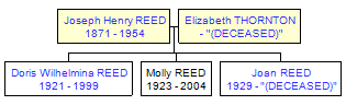 Mini tree diagram