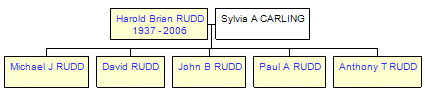 Mini tree diagram