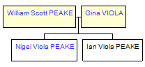 Mini tree diagram