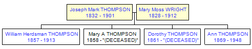 Mini tree diagram