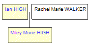 Mini tree diagram