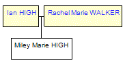 Mini tree diagram