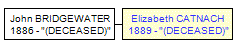 Mini tree diagram