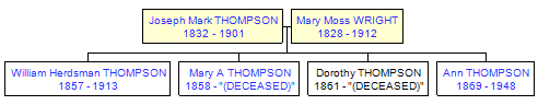 Mini tree diagram