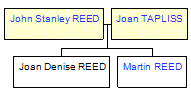 Mini tree diagram