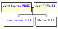 Mini tree diagram