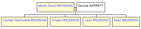 Mini tree diagram