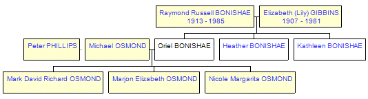 Mini tree diagram