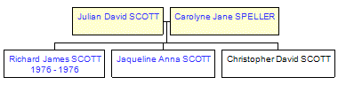 Mini tree diagram