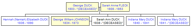 Mini tree diagram