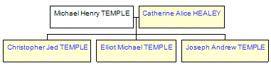 Mini tree diagram