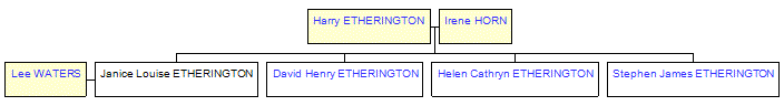 Mini tree diagram