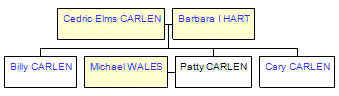 Mini tree diagram