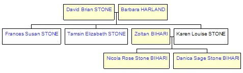 Mini tree diagram