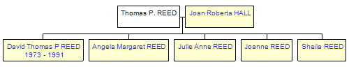 Mini tree diagram