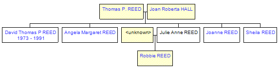 Mini tree diagram