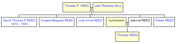 Mini tree diagram