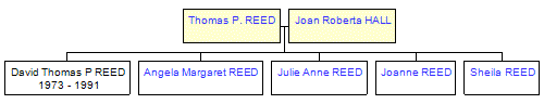 Mini tree diagram