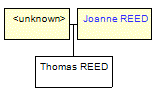 Mini tree diagram