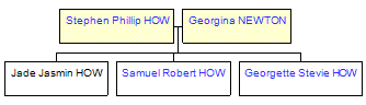 Mini tree diagram