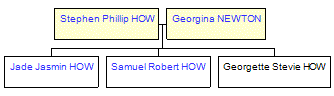 Mini tree diagram