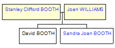 Mini tree diagram