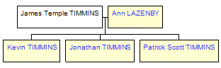 Mini tree diagram