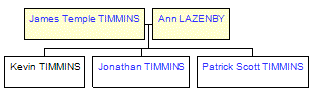 Mini tree diagram