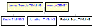 Mini tree diagram