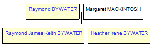 Mini tree diagram