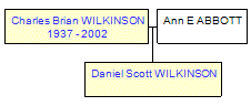 Mini tree diagram