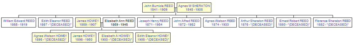 Mini tree diagram