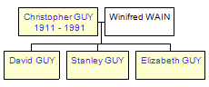 Mini tree diagram