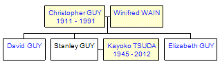 Mini tree diagram