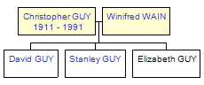 Mini tree diagram