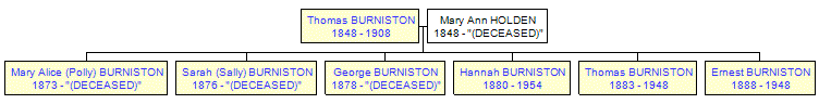 Mini tree diagram