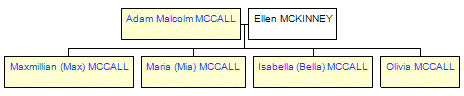 Mini tree diagram