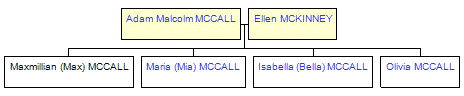 Mini tree diagram