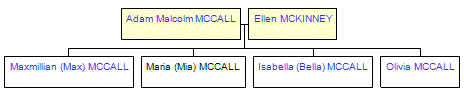 Mini tree diagram