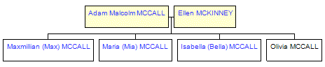 Mini tree diagram