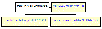 Mini tree diagram