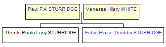 Mini tree diagram