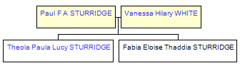 Mini tree diagram